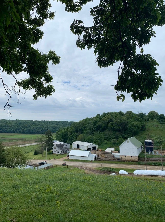 Hillside view of the Nonn Family Farm barns and pasture in Cross Plains, Wisconsin